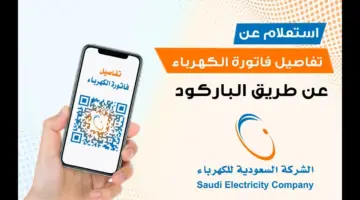 ما خطوات الاستعلام عن فاتورة الكهرباء السعودية إلكترونياً 1445؟