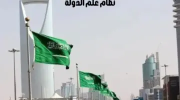 “وزارة الداخلية” تطلق نظام علم الدولة وشعارها ونشيدها الوطني عبر منصة استطلاع