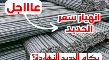 تراجع أسعار الحديد في مصر تثير ضجة في الأسواق “ينخفض 1000 جنيه”