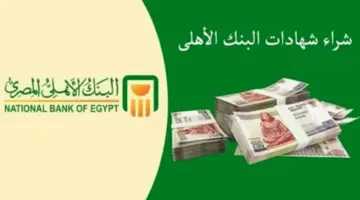 شهادات البنك الأهلي المصري الجديدة بعائد 30% .. كيفية الشراء أون لاين