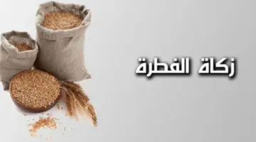 “دار الإفتاء المصرية”.. تُوضح على من لا تجب زكاة الفطر من المسلمين 