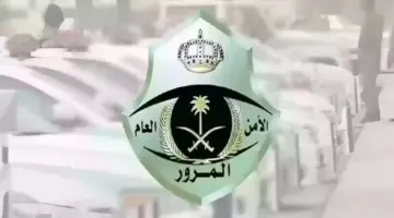 رسمياً .. وزارة الداخلية السعودية تعلن عن تخفيض سداد المخالفات المرورية المتراكمة 50%