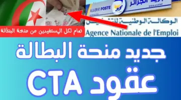 وزارة العمل تكشف عن رابط وخطوات التقديم على منحة البطالة عقود cta للجزائريين عبر الموقع الرسمي