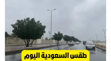 “الدفاع المدني السعودي”… يحذر من حالة الطقس اليوم خاصة مع استمرار سقوط الأمطار