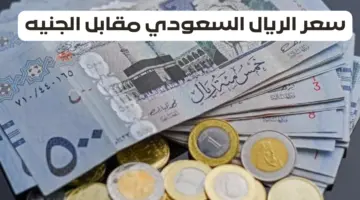 تحديث جديد حول سعر الريال السعودى مقابل الجنيه المصري اليوم السبت 6/4/2024