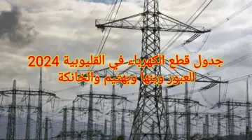 هُنا.. جدول قطع الكهرباء القليوبية 2024 في العبور وبنها وشبرا وبهتيم والخانكة وفقا لقرار مجلس الوزراء
