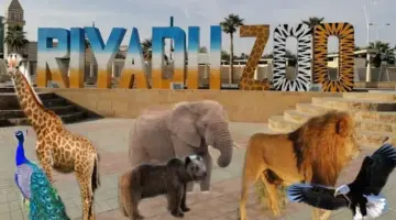 ما هي خطوات حجز حديقة الحيوان في الرياض 2024؟