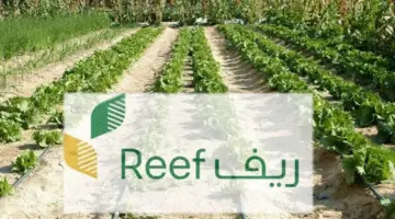 وزارة البيئة والزراعة السعودية” توضح خطوات الاستعلام عن دعم ريف 1445
