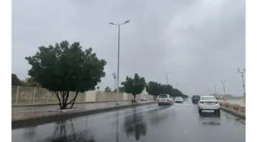 حالة الطقس الآن في السعودية .. سقوط أمطار رعدية ورياح نشطة مصحوبة بالأتربة على هذه المناطق