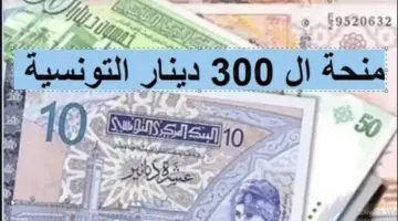 وزارة الشؤون الاجتماعية توضح خطوات التسجيل في منحة 300 دينار تونسي والشروط المطلوبة
