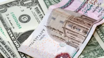 سعر الدولار اليوم مقابل الجنيه المصري يرتفع بشكل طفيف خلال منتصف التعاملات