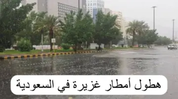 “حالة الطقس اليوم ” أمطار رعدية وجريان سيول على عدة مناطق سعودية حتى الـ 11 مساءً