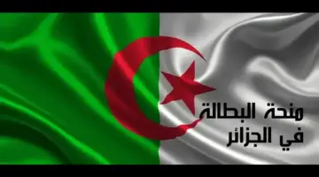 ما هى خطوات تجديد منحة البطالة في الجزائر 2024 وأهم شروطها ؟